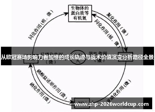 从欧冠赛场影响力看加维的成长轨迹与战术价值演变分析路径全景