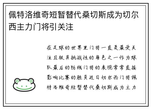 佩特洛维奇短暂替代桑切斯成为切尔西主力门将引关注 佩特洛维奇短暂替代桑切斯成为切尔西主力门将引关注